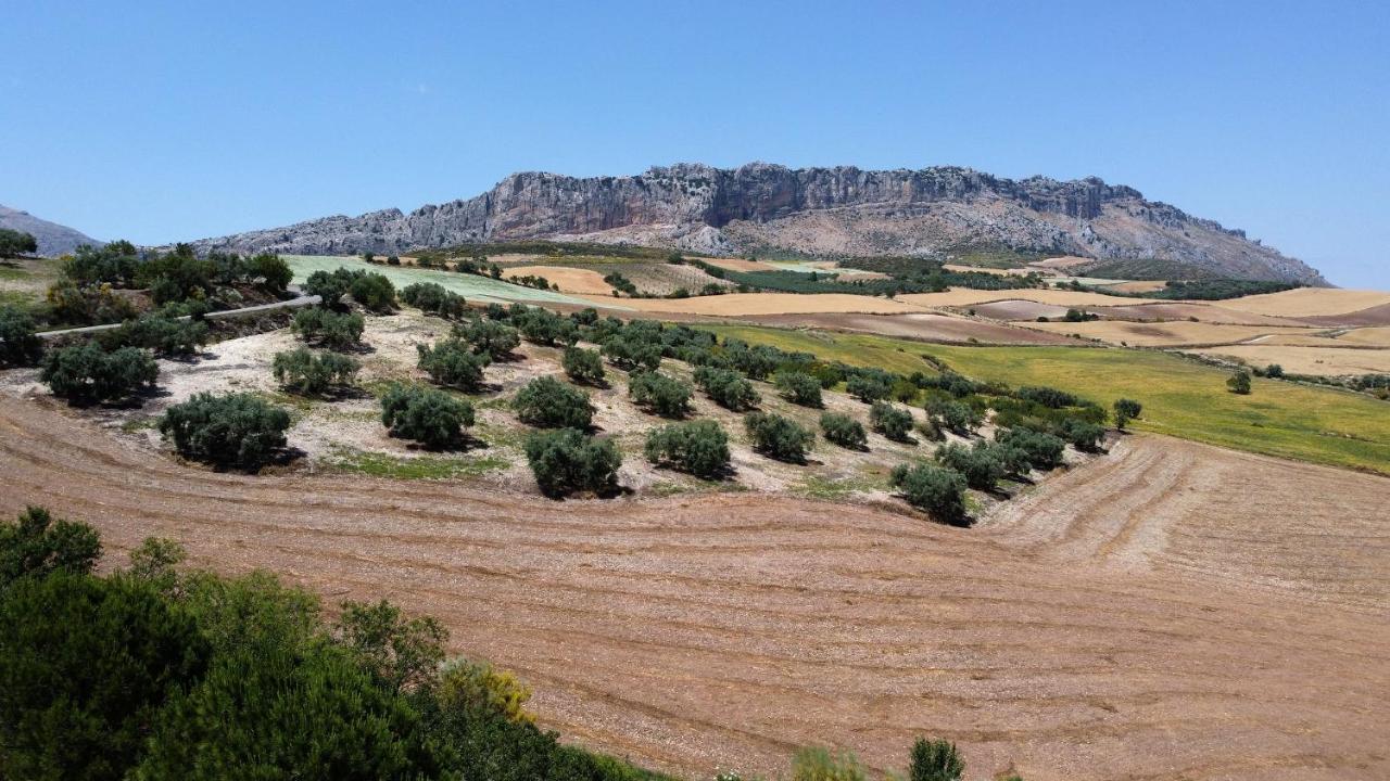 La Posada Del Torcal Villanueva de la Concepción Εξωτερικό φωτογραφία